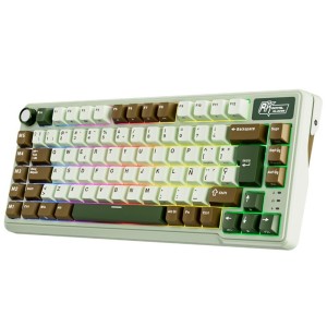 Teclado para Mac y Windows Royal Kludge RKL75 ISO-ES RGB Hot-Swappable Switch Beige Wireless Palm Green