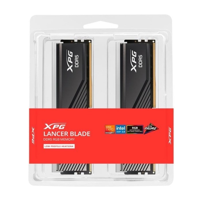 ADATA DIMM 32 GB DDR5-6000 (2x 16 GB) Dual-Kit, Memoria RAM